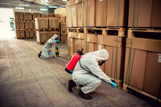 Best Emergency Pest Control  in Lake Of The Pines, CA