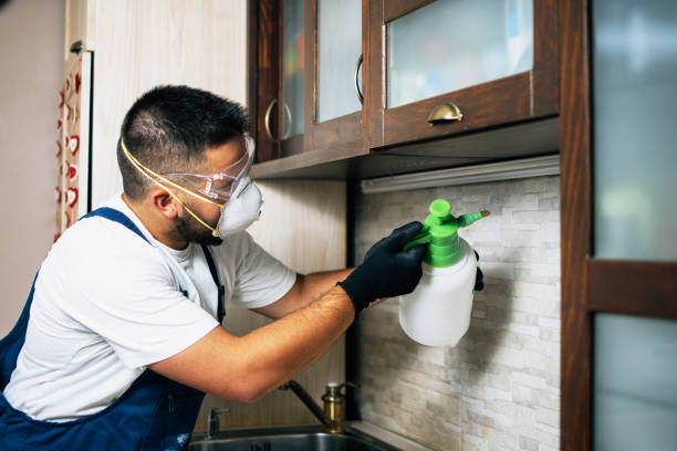 Reliable Lake Of The Pines, CA Pest Control Solutions