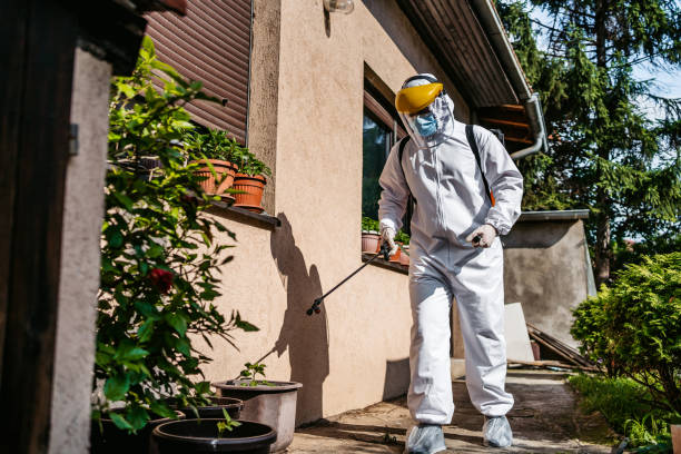 Best Insect Control  in Lake Of The Pines, CA