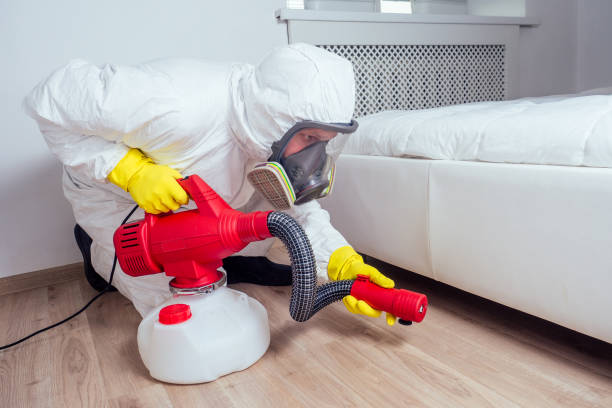 Best Rat Extermination Near Me  in Lake Of The Pines, CA